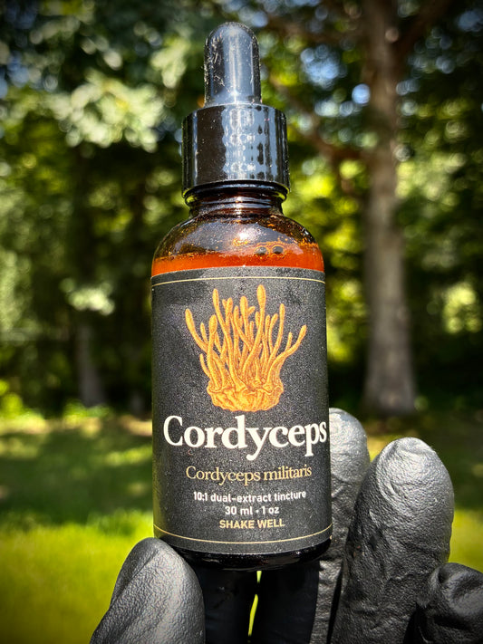 Premium Cordyceps Extract