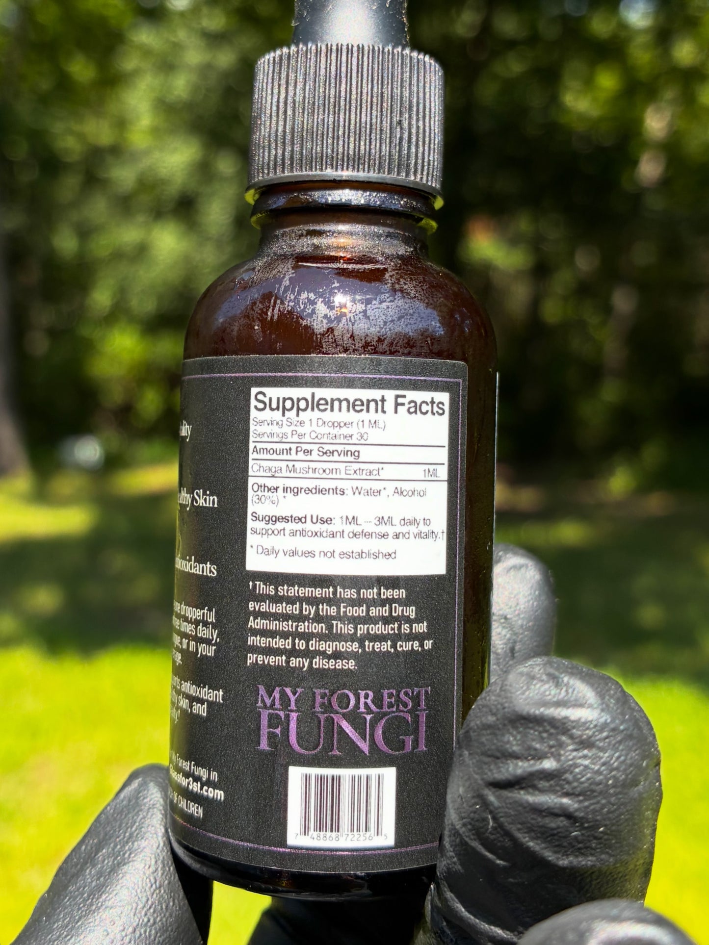 Chaga -dual extract tincture