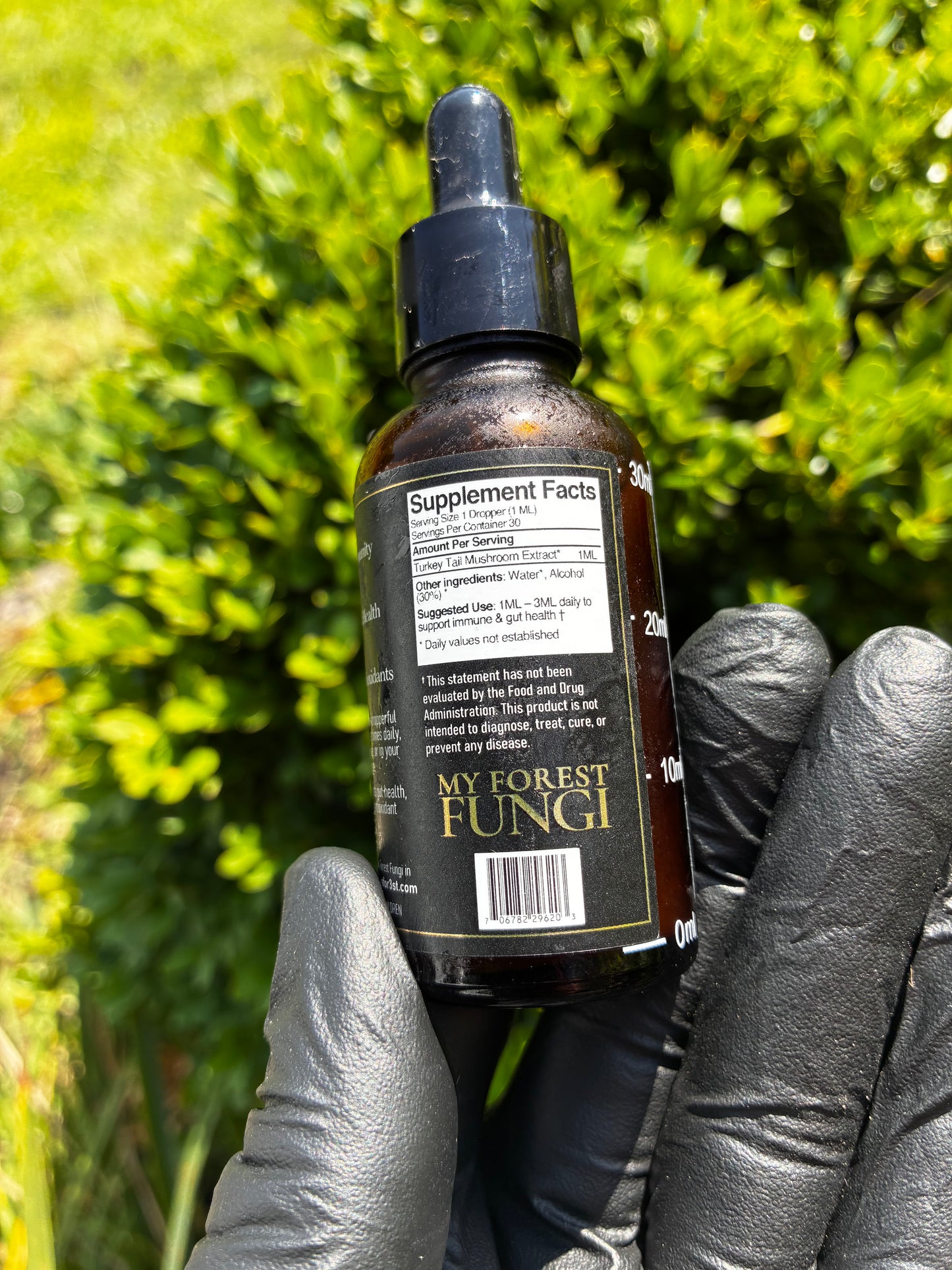 Turkey Tail-dual extract tincture