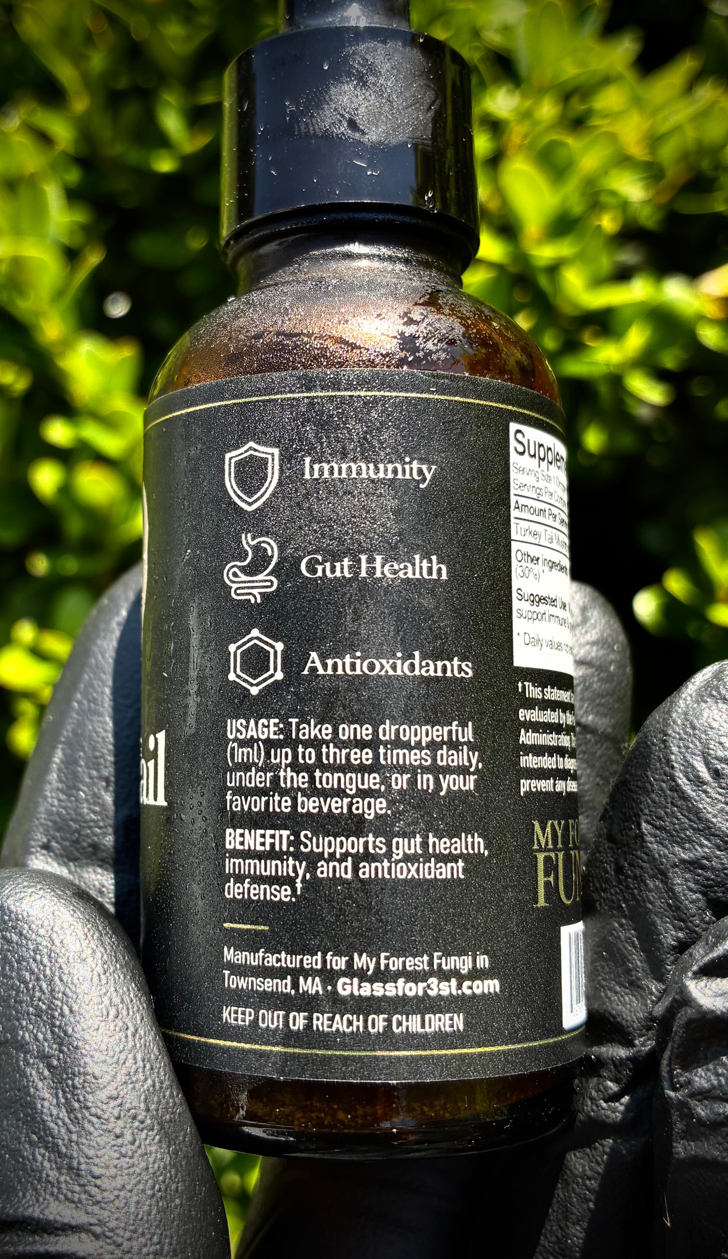 Turkey Tail-dual extract tincture