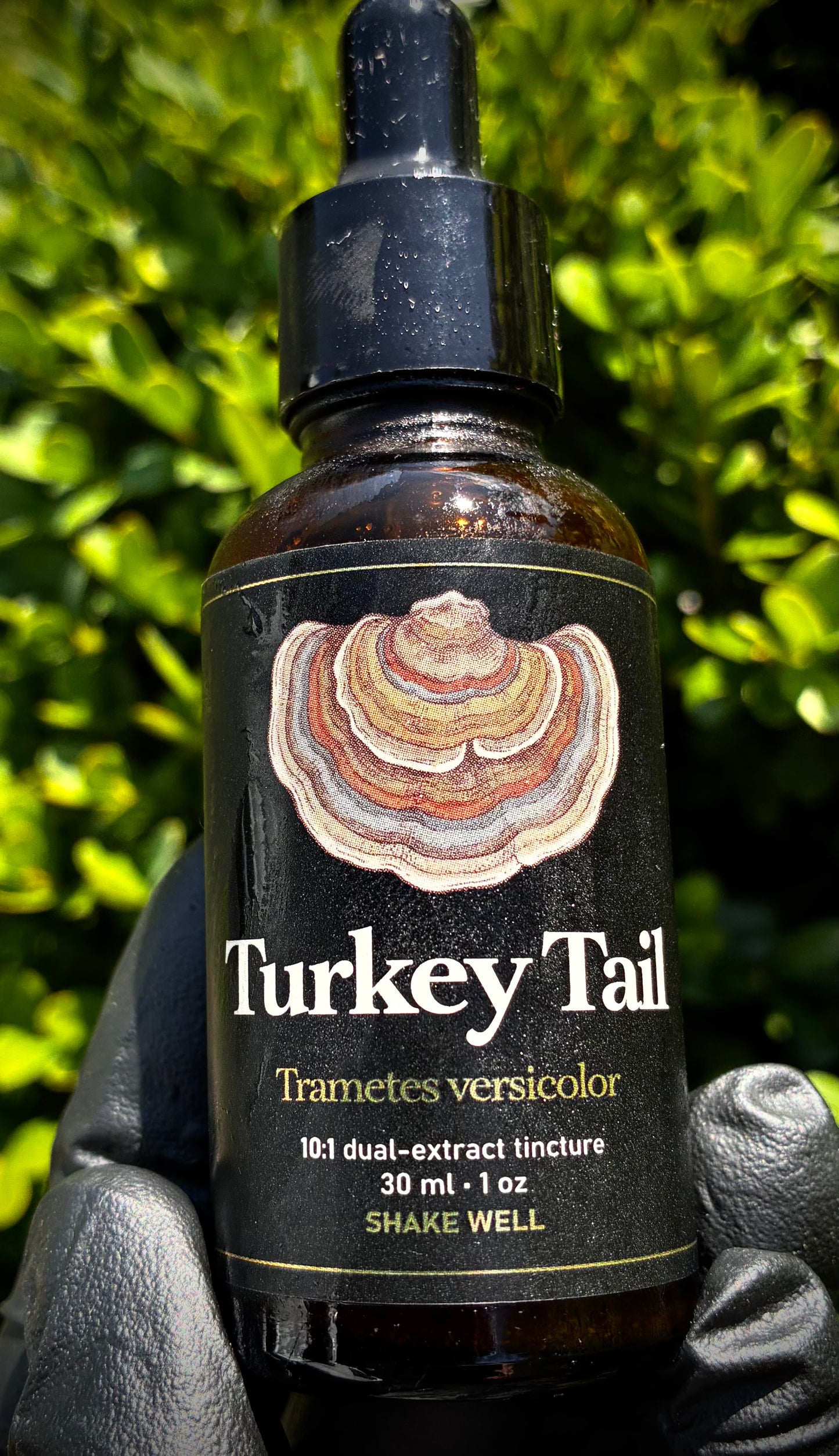 Turkey Tail-dual extract tincture