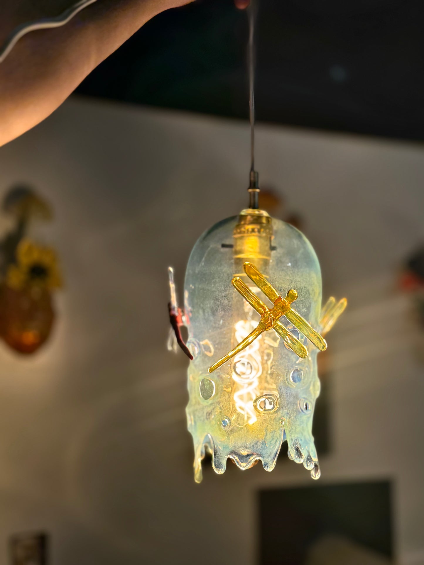 (3)Dragon Fly Pendant Lamp
