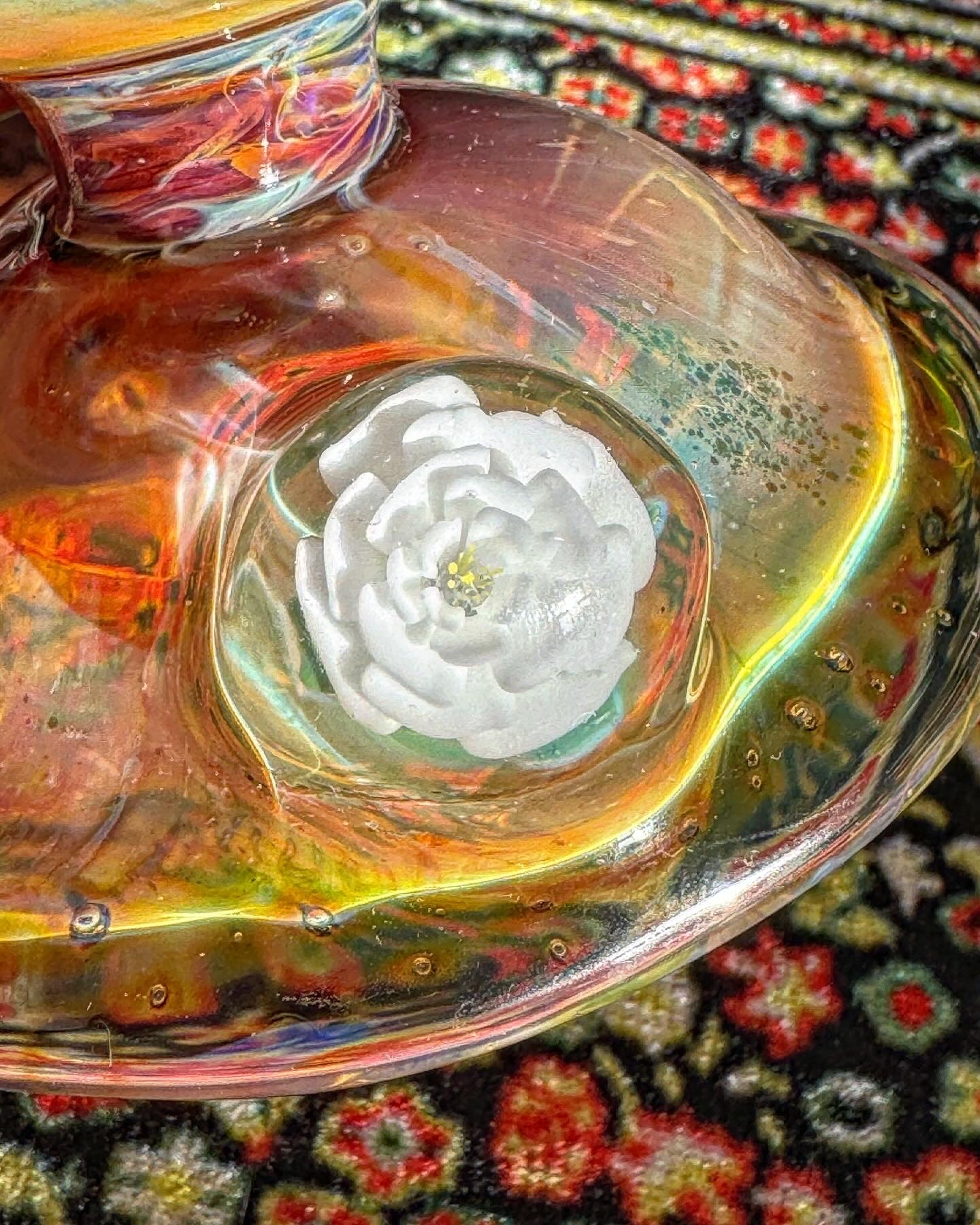 Reishi Turbo Gill