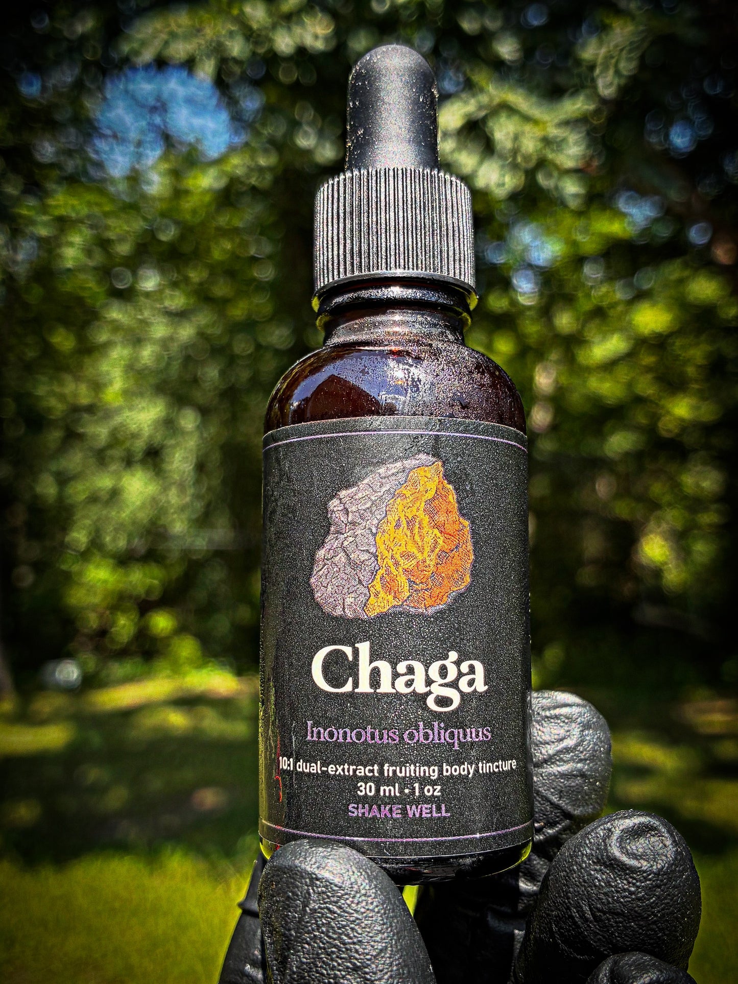 Chaga -dual extract tincture