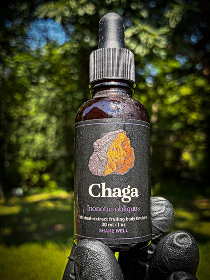 Chaga -dual extract tincture