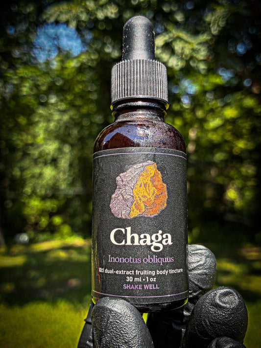 Chaga -dual extract tincture